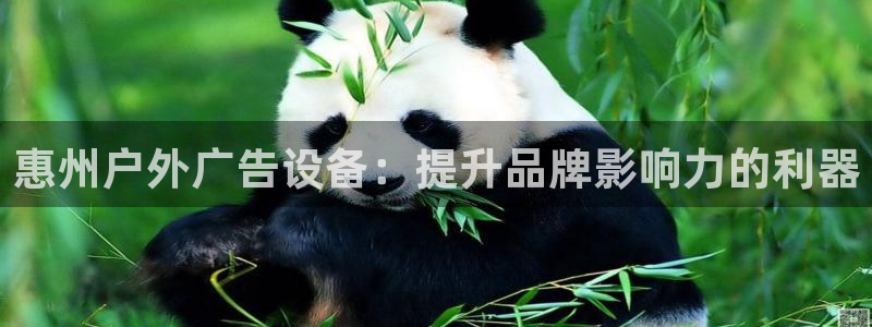 杏宇平台代理怎么样可靠吗