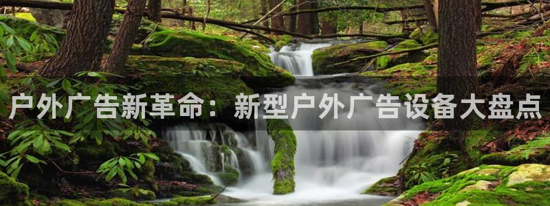 杏宇平台注册登录