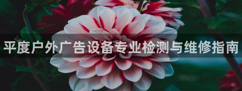 杏宇平台是什么