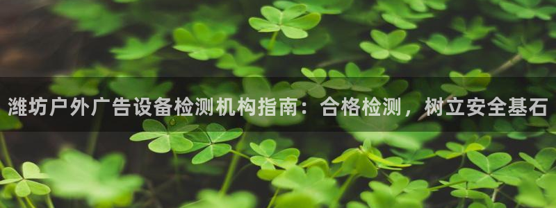 杏宇平台招商怎么样：潍坊户外广告设备检测机构指南：合格检测，树立安全基石
