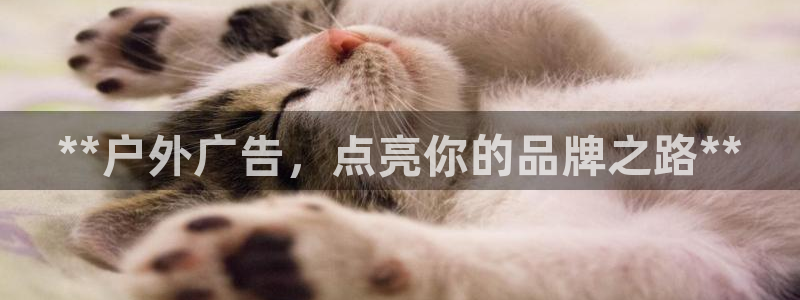 杏宇平台提现为什么这么久呢