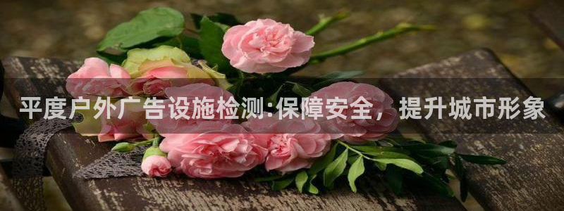 杏宇平台好吗