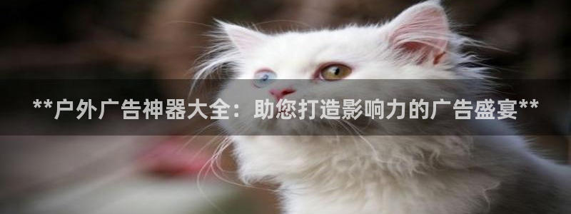 杏宇平台招商怎么样