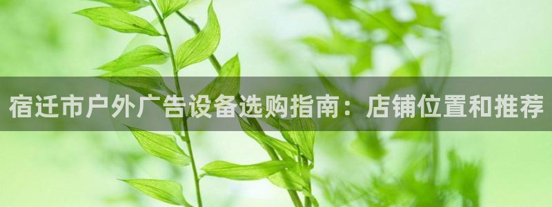 杏宇平台登录步骤图