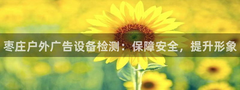 杏宇官方平台官网