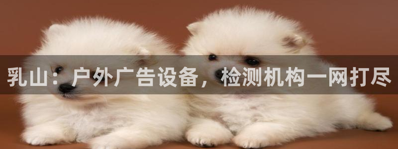 杏宇平台代理怎么样赚钱