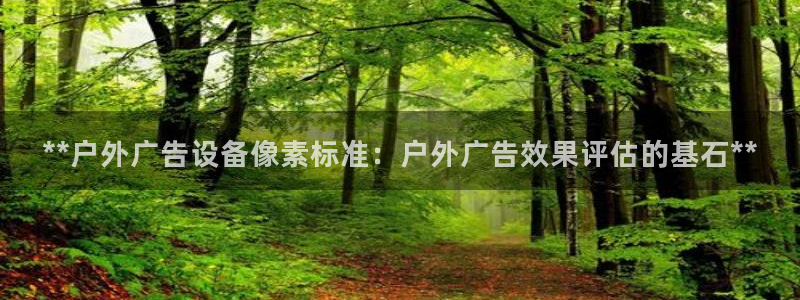 杏宇平台登陆：**户外广告设备像素标准：户外广告效果评估的基石**