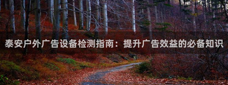 杏宇平台注册登录：泰安户外广告设备检测指南：提升广告效益的必备知识