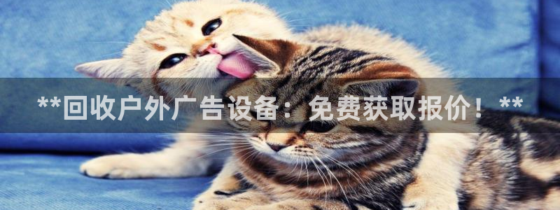 杏宇官方平台官网：**回收户外广告设备：免费获取报价！**