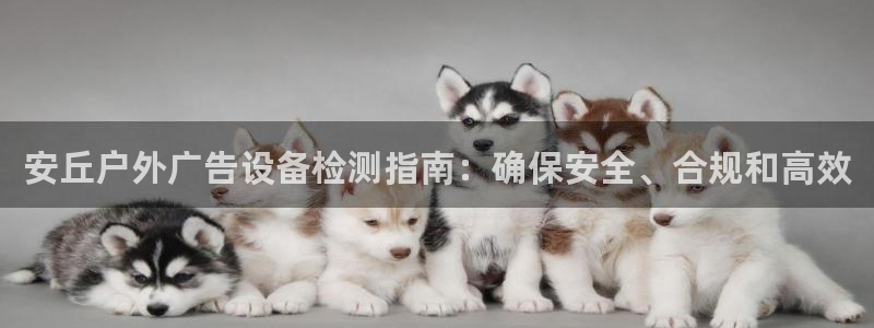 杏宇平台代理怎么样赚钱