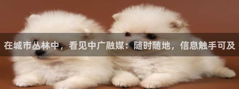 杏宇平台提现为什么这么久呢