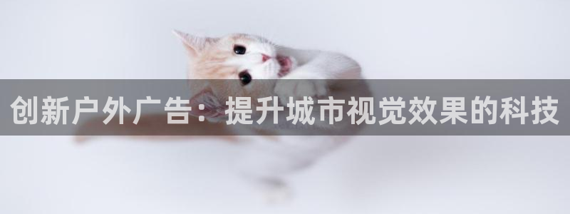 杏宇平台代理多少钱一次：创新户外广告：提升城市视觉效果的科技