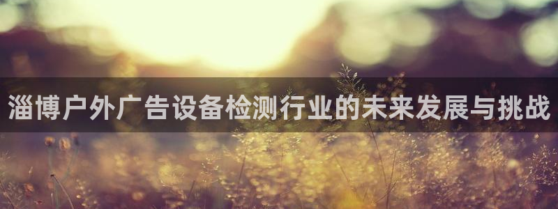 杏宇官方平台官网下载：淄博户外广告设备检测行业的未来发展与挑战