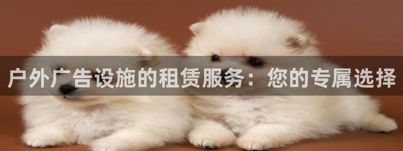 杏宇平台提现为什么这么久呢：户外广告设施的租赁服务：您的专属选择