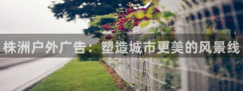 杏宇平台注册地址在哪里：株洲户外广告：塑造城市更美的风景线
