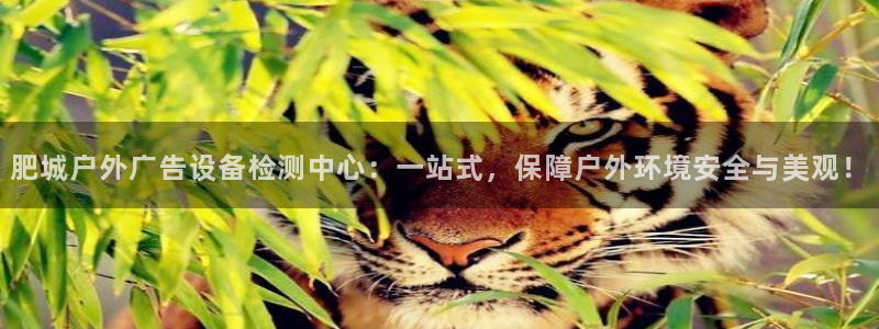 杏宇平台总代理：肥城户外广告设备检测中心：一站式，保障户外环境安全与美观！