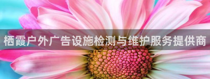 杏宇平台代理多少钱一个月：栖霞户外广告设施检测与维护服务提供商