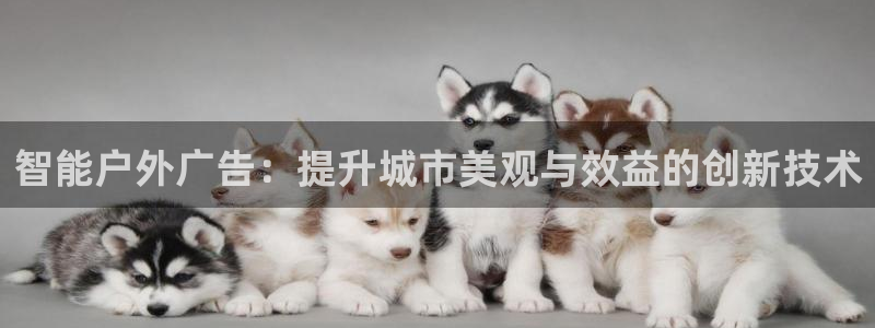 杏宇平台代理多少钱一个：智能户外广告：提升城市美观与效益的创新技术