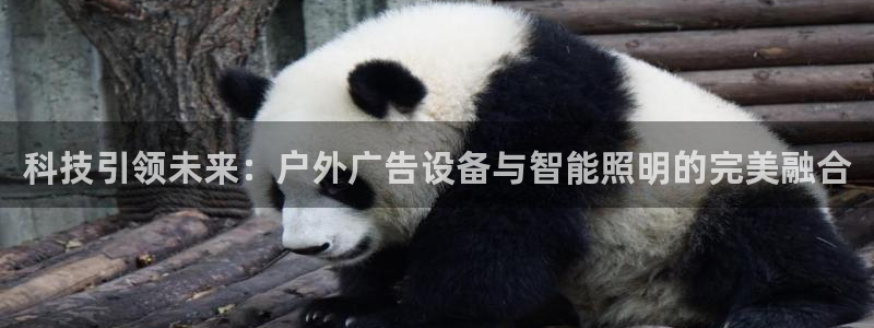 杏宇平台开户：科技引领未来：户外广告设备与智能照明的完美融合