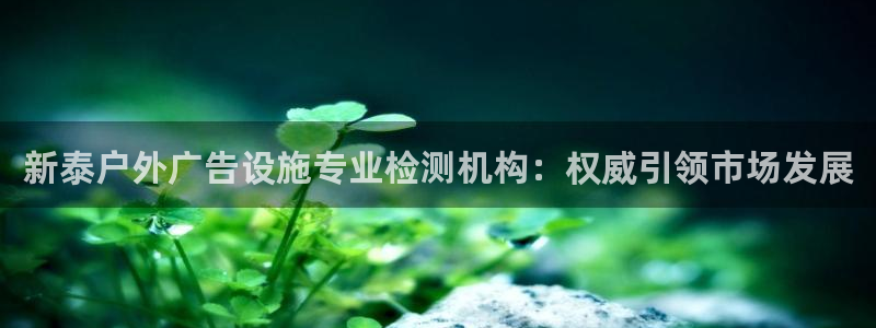 杏宇平台提现为什么这么久呢：新泰户外广告设施专业检测机构：权威引领市场发展