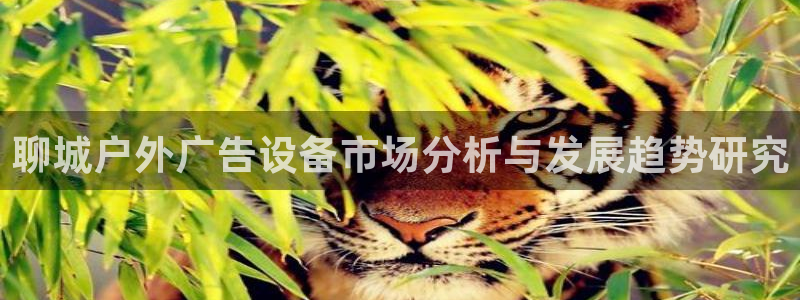 杏宇平台代理多少钱一个：聊城户外广告设备市场分析与发展趋势研究