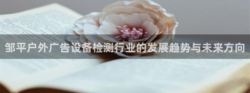 杏宇平台代理多少钱一个月：邹平户外广告设备检测行业的发展趋势与未来方向