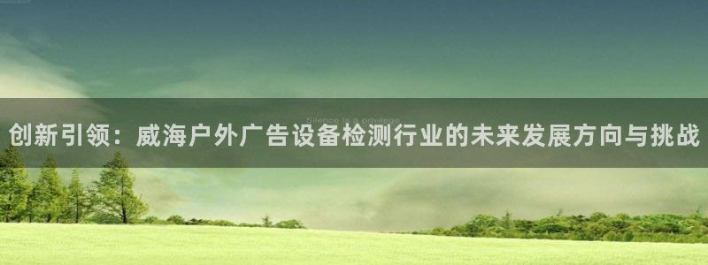 杏宇平台主管：创新引领：威海户外广告设备检测行业的未来发展方向与挑战