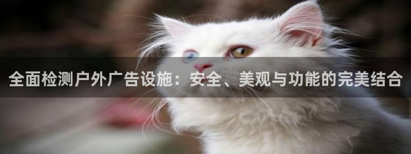 杏宇平台注册地址：全面检测户外广告设施：安全、美观与功能的完美结合