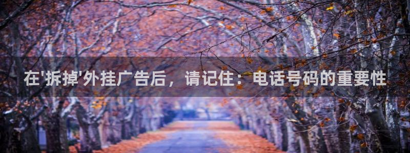 杏宇平台怎么样赚钱：在\'拆掉\'外挂广告后，请记住：电话号码的重要性