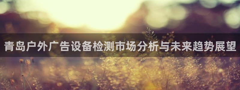 杏宇平台招商电话号码：青岛户外广告设备检测市场分析与未来趋势展望