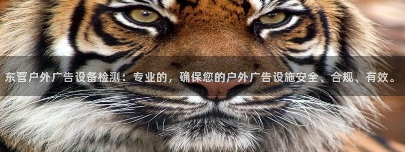 杏宇平台代理怎么样可靠吗：东营户外广告设备检测：专业的，确保您的户外广告设施安全、合规、有效。