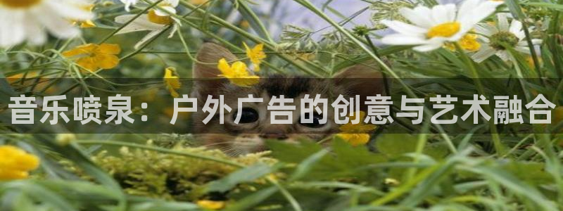 杏宇平台总代理：音乐喷泉：户外广告的创意与艺术融合