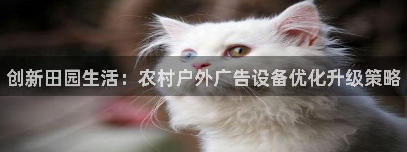 杏宇平台主管：创新田园生活：农村户外广告