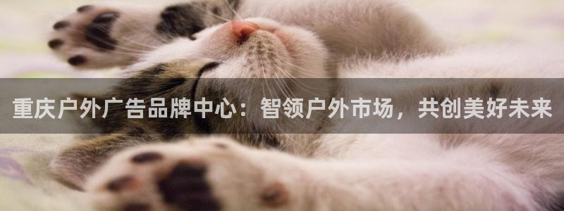 杏宇平台招商：重庆户外广告品牌中心：智领户外市场，共创美好未来