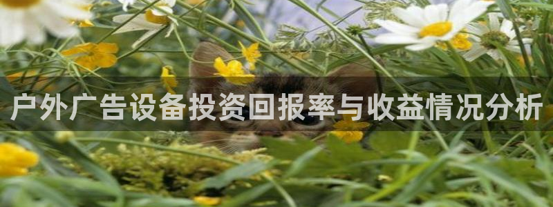 杏宇平台登陆：户外广告设备投资回报率与收益情况分析