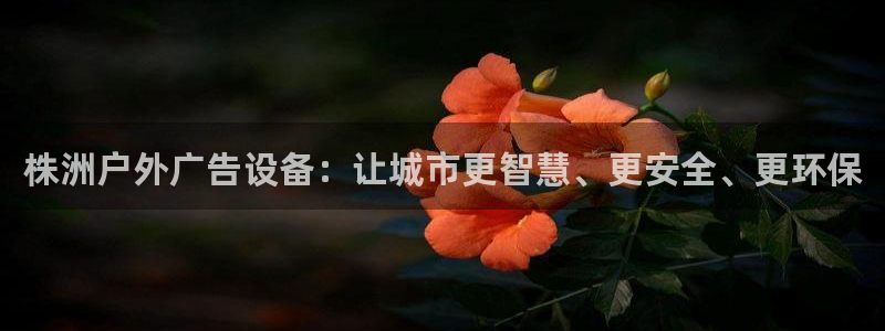 杏宇平台代理怎么样赚钱：株洲户外广告设备：让城市更智慧、更安全、更环保