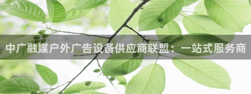 杏宇官方平台官网下载：中广融媒户外广告设备供应商联盟：一站式服务商