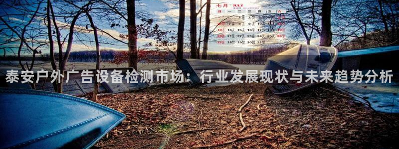 杏宇平台招商电话号码：泰安户外广告设备检测市场：行业发展现状与未来趋势分析
