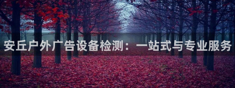 杏宇平台怎么样：安丘户外广告设备检测：一站式与专业服务