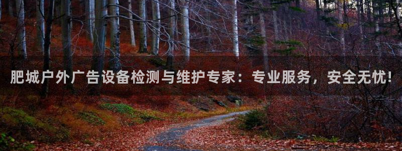 杏宇平台代理怎么赚钱：肥城户外广告设备检测与维护专家：专业服务，安全无忧!