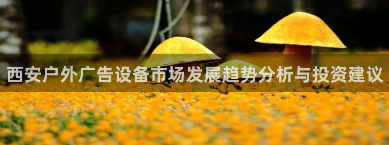 杏宇平台登录步骤：西安户外广告设备市场发