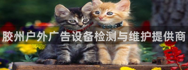 杏宇平台招商怎么样：胶州户外广告设备检测