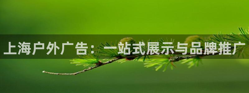 杏宇平台登录方法：上海户外广告：一站式展示与品牌推广