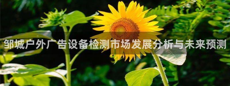 杏宇平台是什么：邹城户外广告设备检测市场发展分析与未来预测