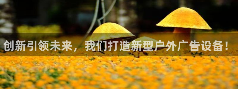 杏宇平台代理怎么赚钱