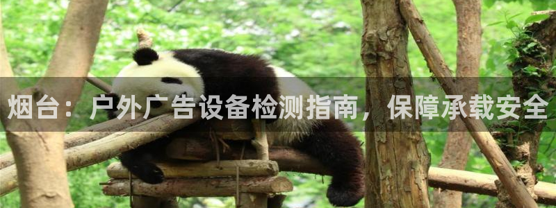 杏宇平台代理怎么赚钱