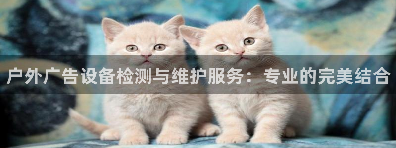 杏宇平台代理多少钱：户外广告设备检测与维