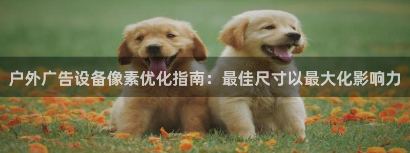 杏宇平台总代理是谁：户外广告设备像素优化指南：最佳尺寸以最大化影响力