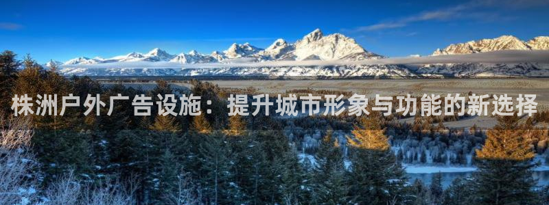 杏宇平台提现为什么这么久呢：株洲户外广告