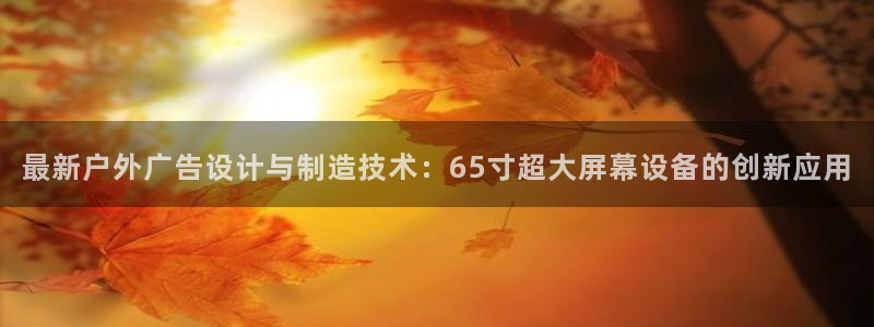 杏宇代理注册：最新户外广告设计与制造技术：65寸超大屏幕设备的创新应用